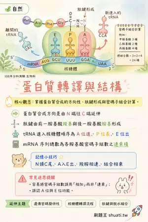 AI 記憶小卡