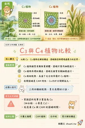AI 記憶小卡
