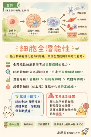 AI 記憶小卡