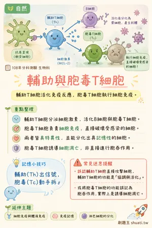 AI 記憶小卡