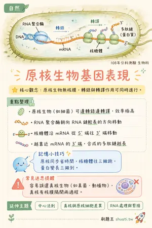 AI 記憶小卡