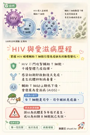 AI 記憶小卡