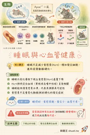 AI 記憶小卡
