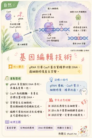 AI 記憶小卡