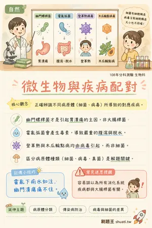 AI 記憶小卡