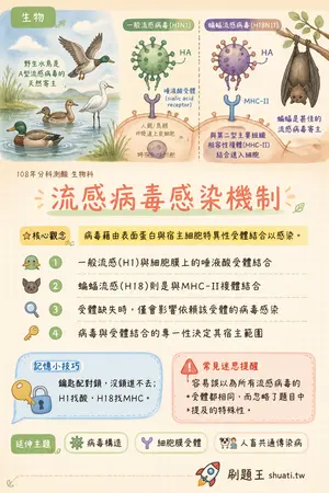 AI 記憶小卡