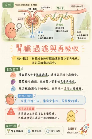 AI 記憶小卡