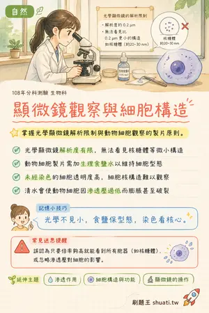 AI 記憶小卡