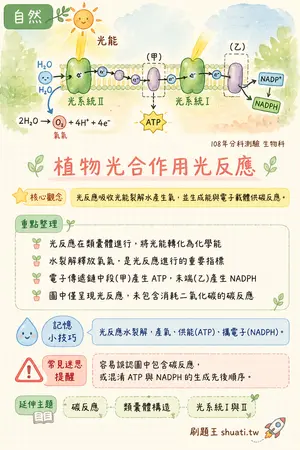 AI 記憶小卡