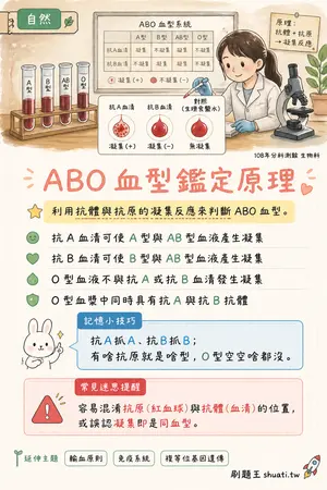 AI 記憶小卡