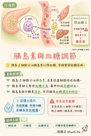 AI 記憶小卡