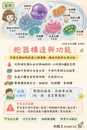 AI 記憶小卡