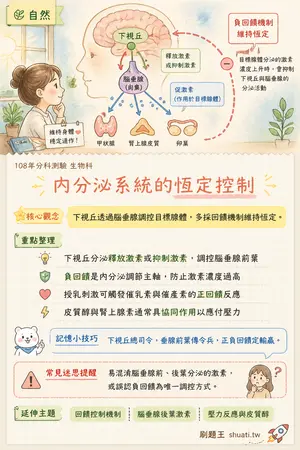 AI 記憶小卡