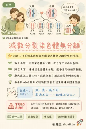 AI 記憶小卡