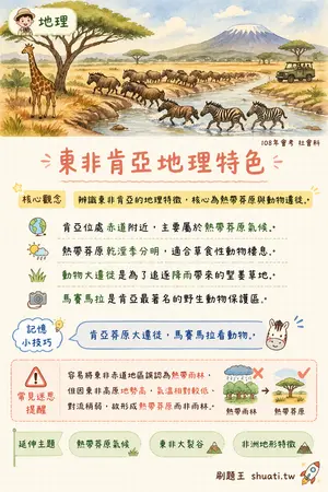 AI 記憶小卡