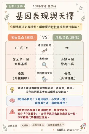 AI 記憶小卡
