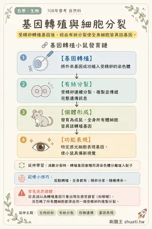 AI 記憶小卡