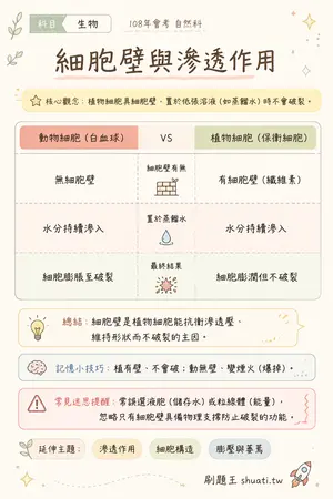 AI 記憶小卡