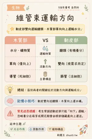 AI 記憶小卡