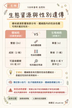 AI 記憶小卡