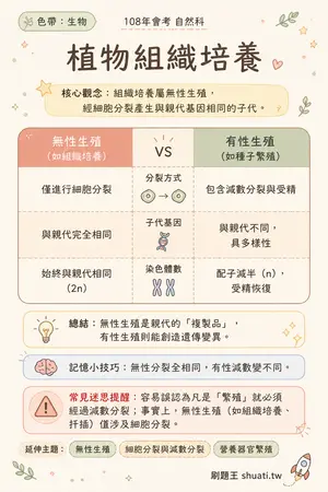 AI 記憶小卡