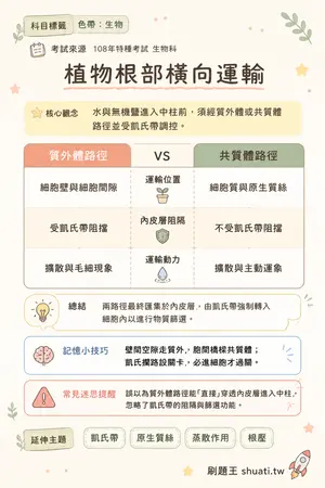 AI 記憶小卡