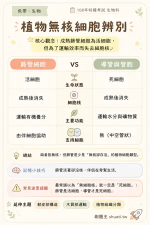 AI 記憶小卡