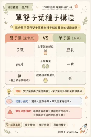 AI 記憶小卡