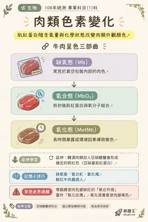 AI 記憶小卡