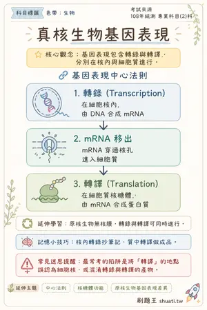AI 記憶小卡