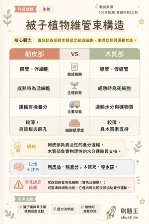 AI 記憶小卡