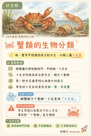 AI 記憶小卡
