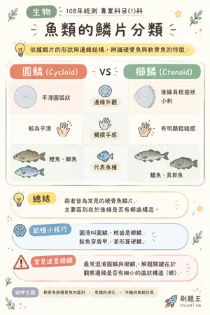 AI 記憶小卡