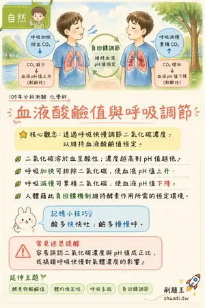 AI 記憶小卡