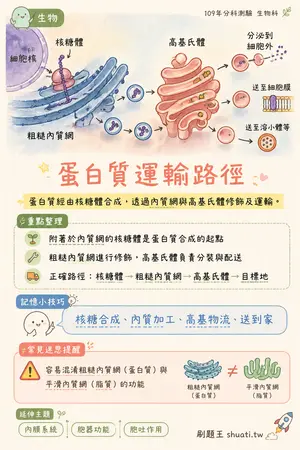 AI 記憶小卡