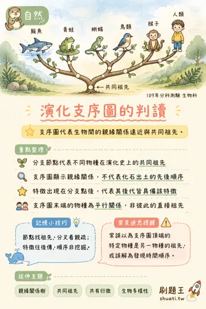 AI 記憶小卡