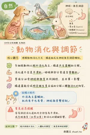 AI 記憶小卡