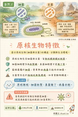 AI 記憶小卡