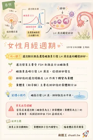 AI 記憶小卡