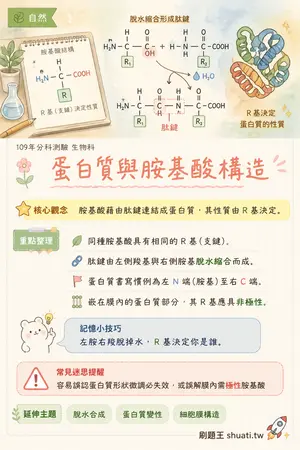 AI 記憶小卡
