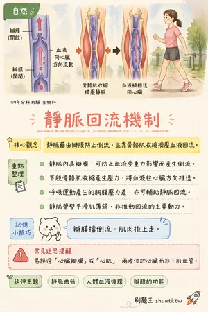 AI 記憶小卡