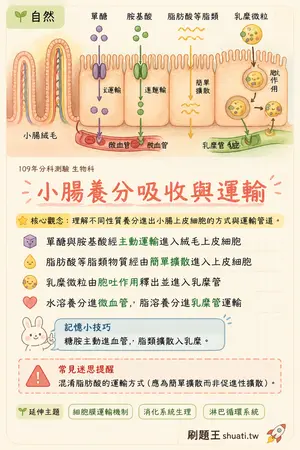 AI 記憶小卡