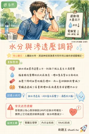 AI 記憶小卡