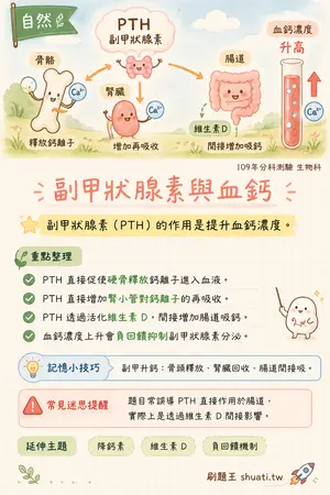AI 記憶小卡