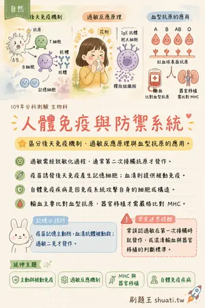 AI 記憶小卡