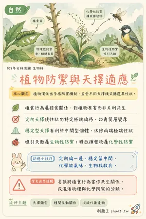AI 記憶小卡