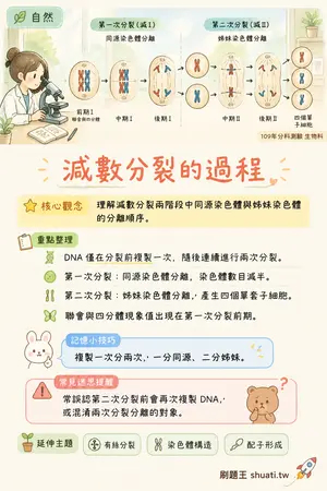 AI 記憶小卡
