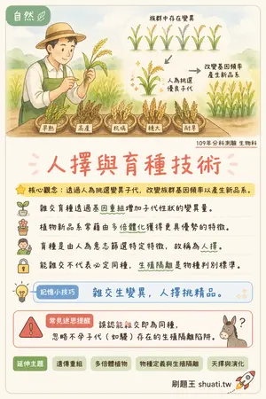 AI 記憶小卡