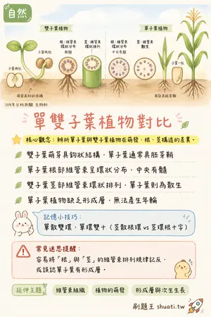 AI 記憶小卡