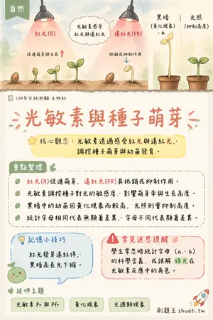 AI 記憶小卡